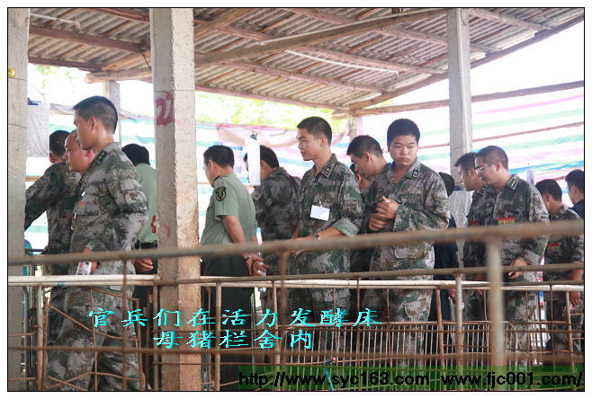 点击在新窗口打开