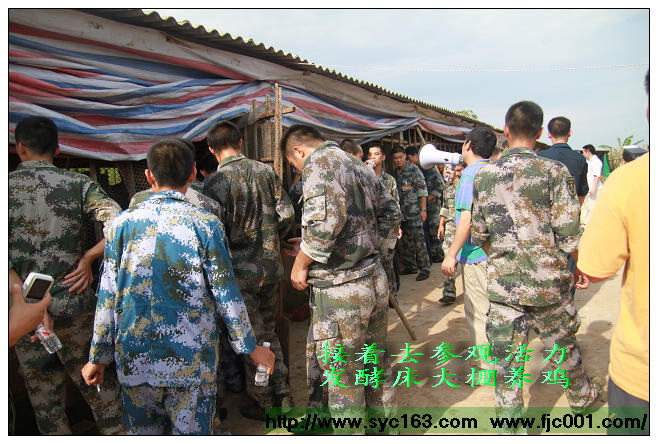 点击在新窗口打开