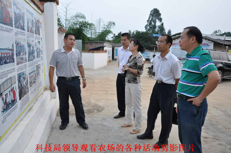 dvubb 图片点击可在新窗口打开查看