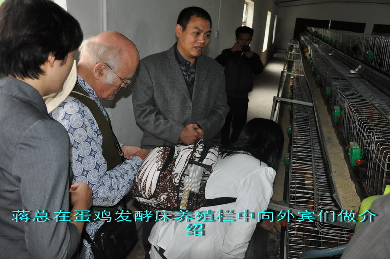 dvubb 图片点击可在新窗口打开查看