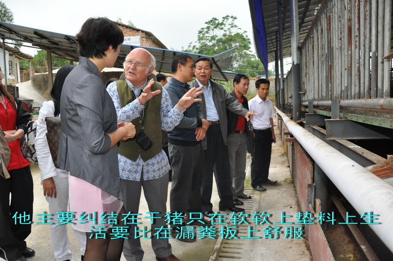 dvubb 图片点击可在新窗口打开查看