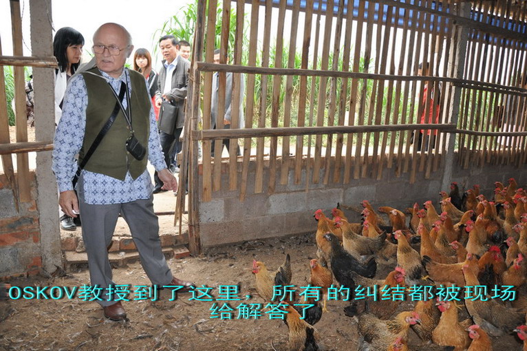 dvubb 图片点击可在新窗口打开查看