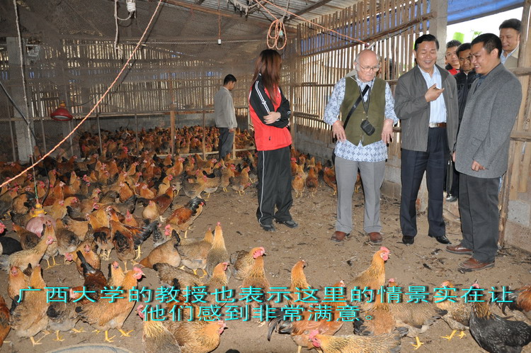 dvubb 图片点击可在新窗口打开查看