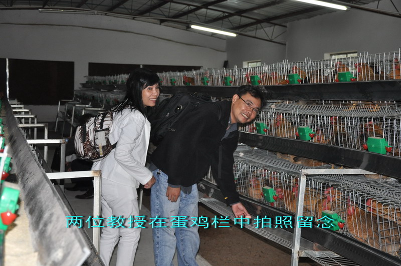 dvubb 图片点击可在新窗口打开查看