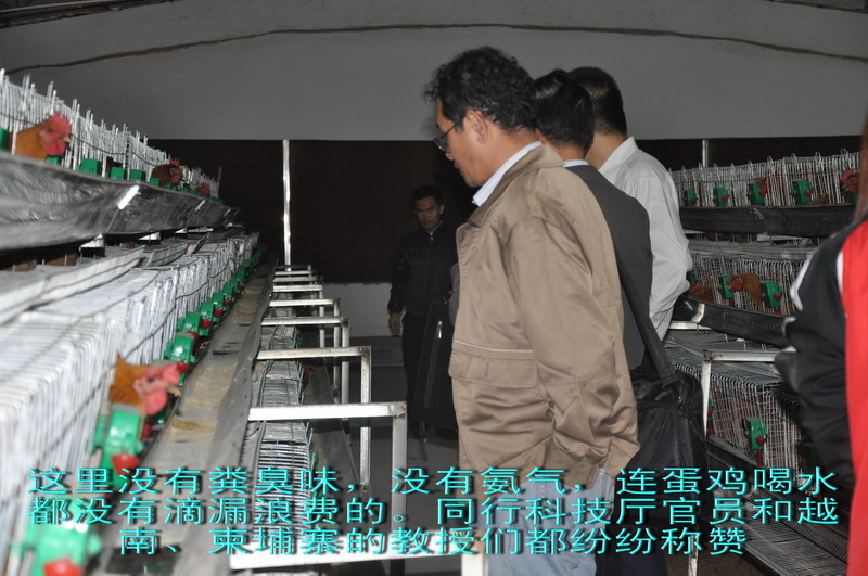 dvubb 图片点击可在新窗口打开查看