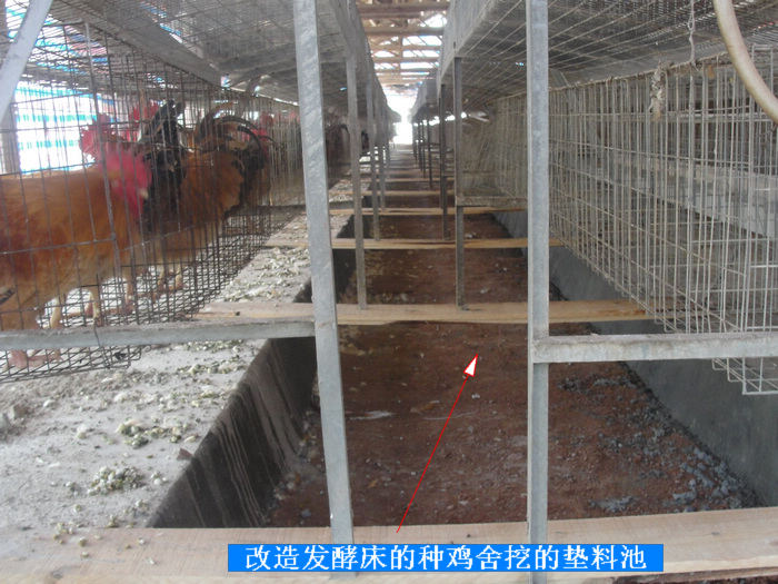 dvubb 按此在新窗口浏览图片