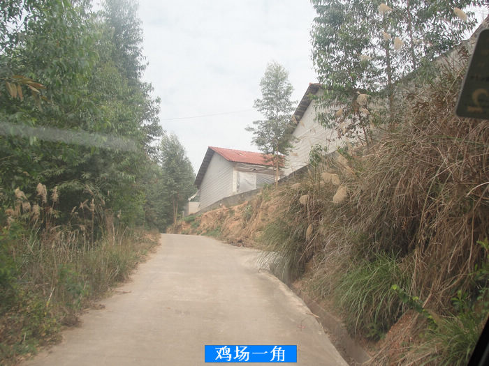 dvubb 按此在新窗口浏览图片