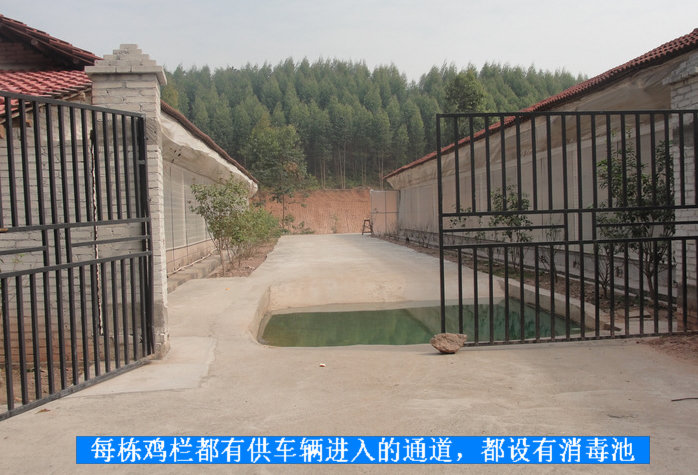 dvubb 按此在新窗口浏览图片