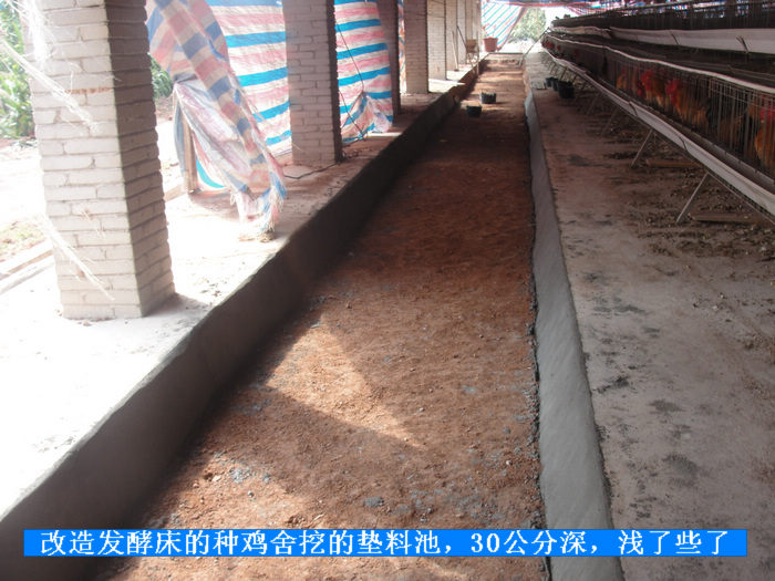 dvubb 按此在新窗口浏览图片