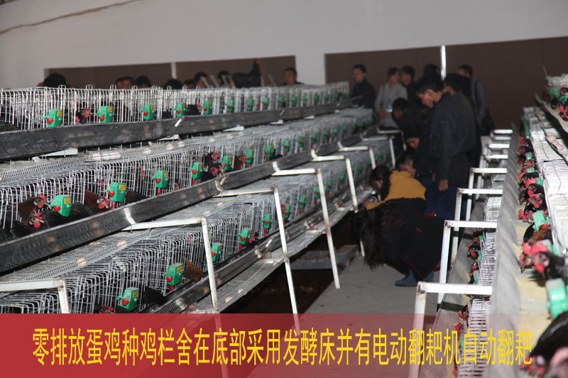 dvubb 按此在新窗口浏览图片