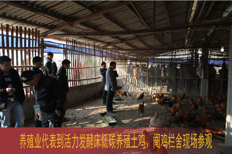 dvubb 按此在新窗口浏览图片