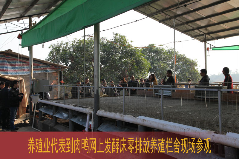 dvubb 按此在新窗口浏览图片