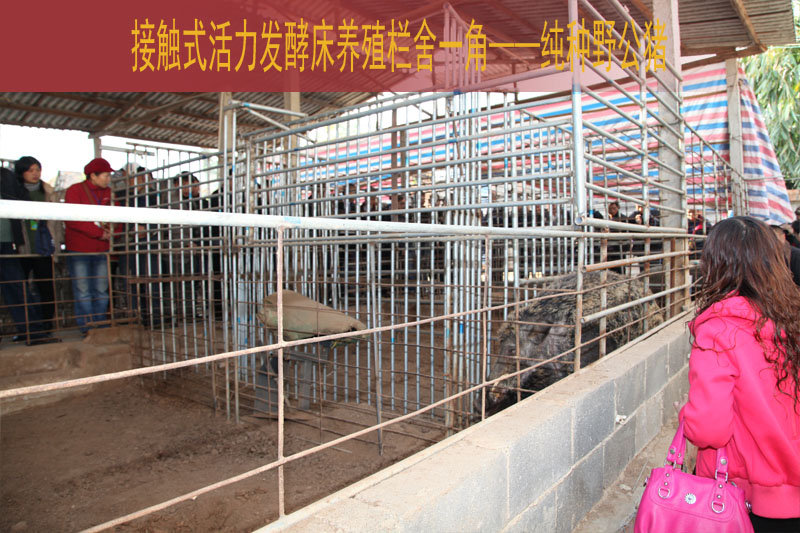 dvubb 按此在新窗口浏览图片