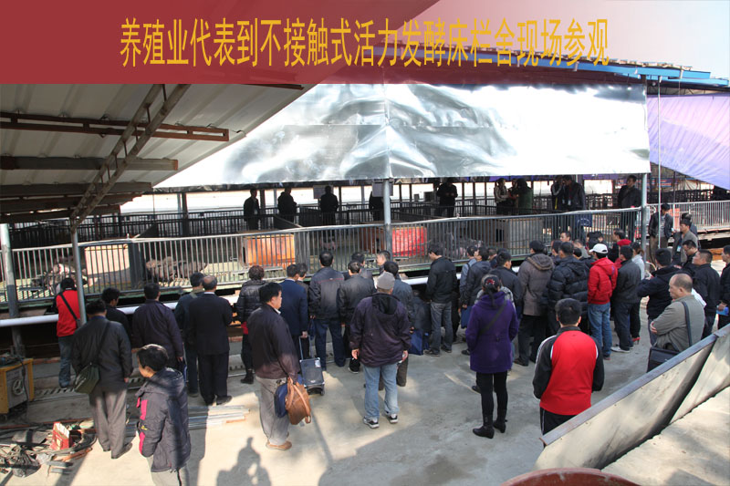 dvubb 按此在新窗口浏览图片