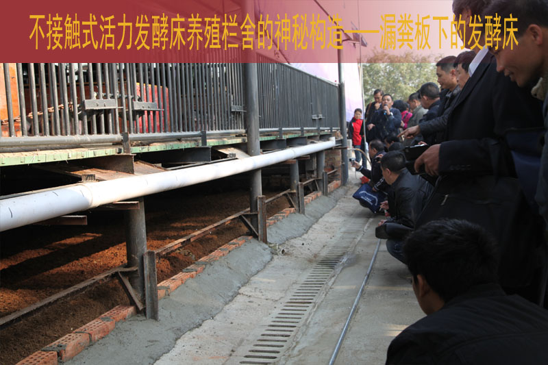 dvubb 按此在新窗口浏览图片