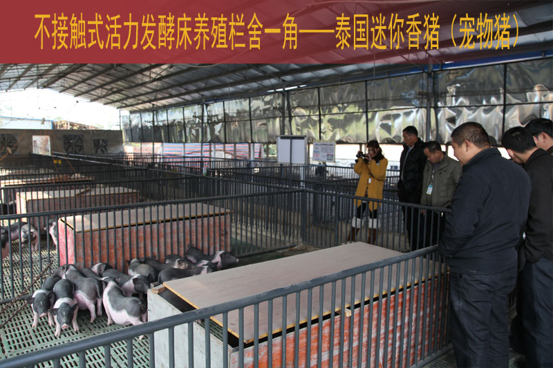 dvubb 按此在新窗口浏览图片