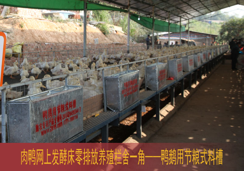 dvubb 按此在新窗口浏览图片