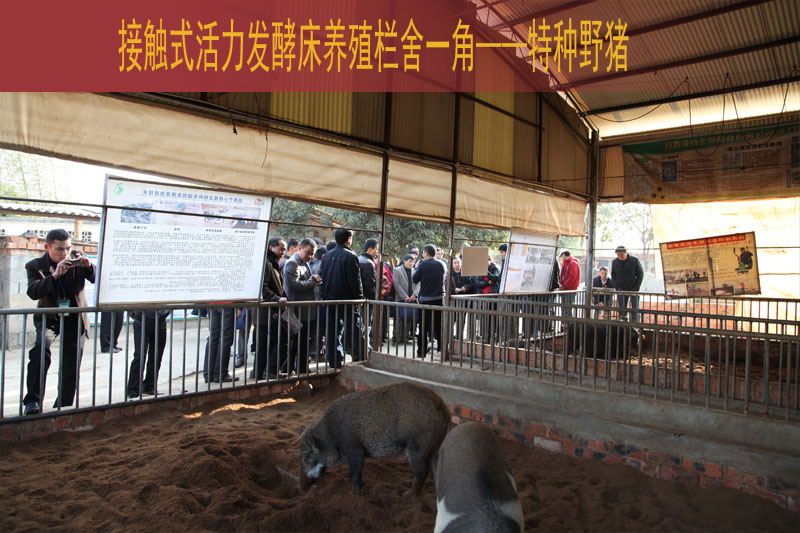 dvubb 按此在新窗口浏览图片