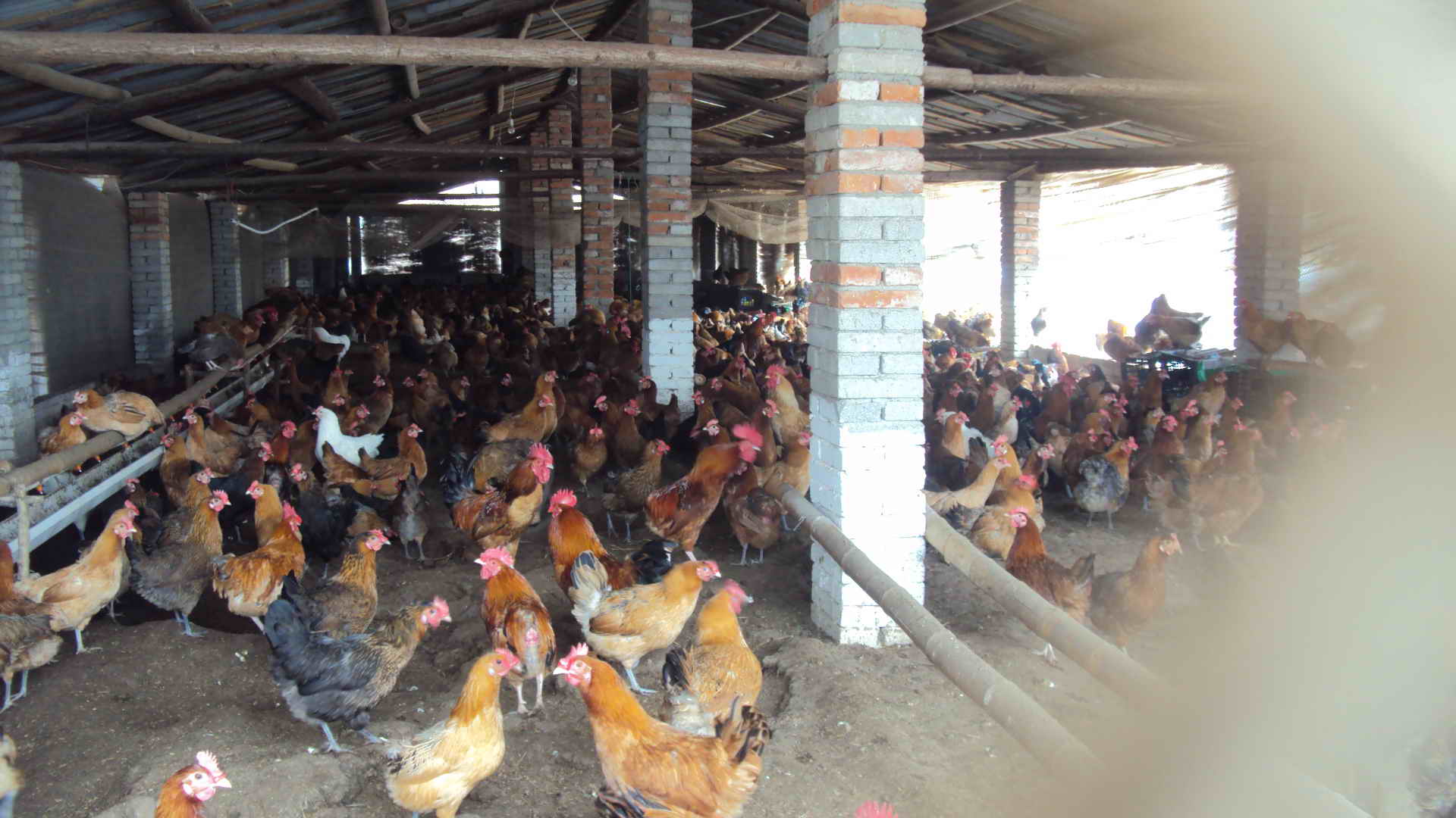 dvubb 图片点击可在新窗口打开查看