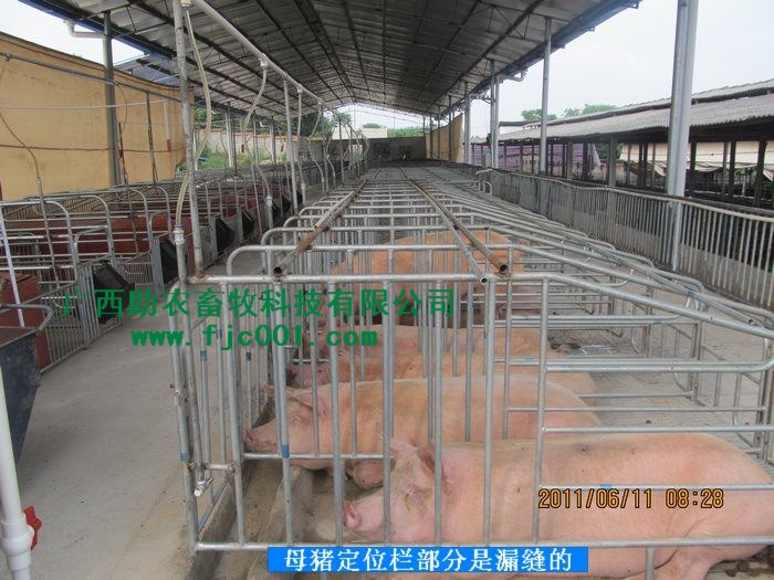 dvubb 按此在新窗口浏览图片