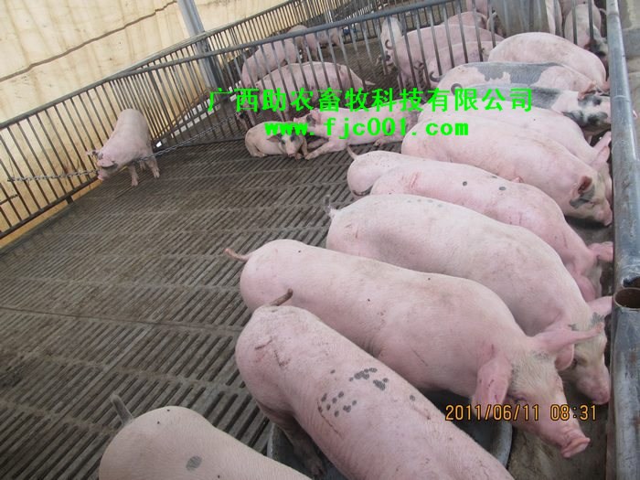 dvubb 按此在新窗口浏览图片