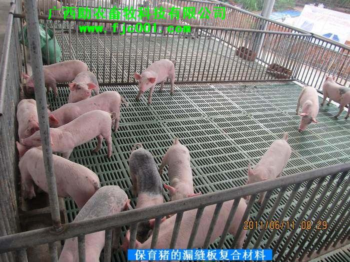 dvubb 按此在新窗口浏览图片