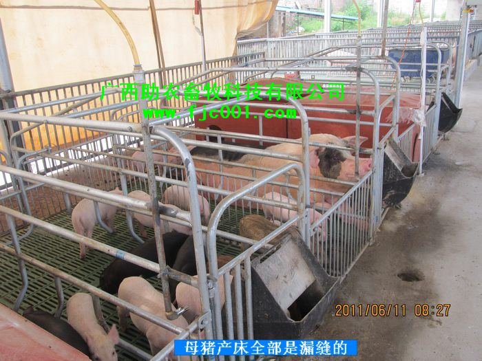 dvubb 按此在新窗口浏览图片