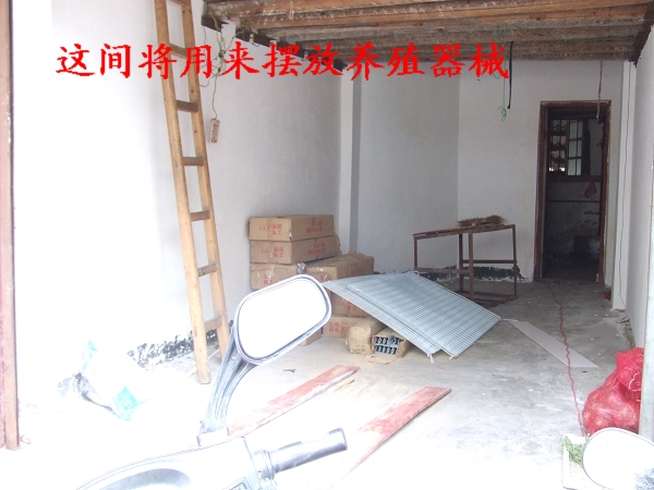 dvubb 图片点击可在新窗口打开查看