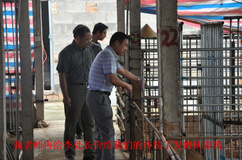 dvubb 图片点击可在新窗口打开查看