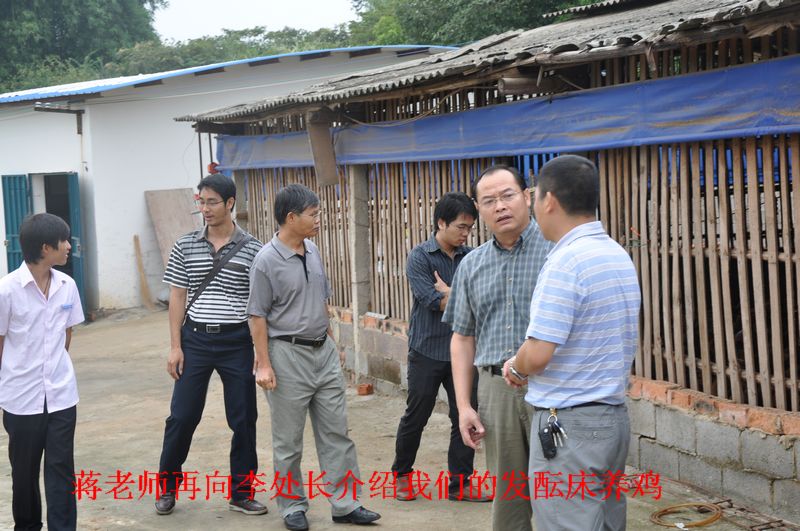 dvubb 图片点击可在新窗口打开查看