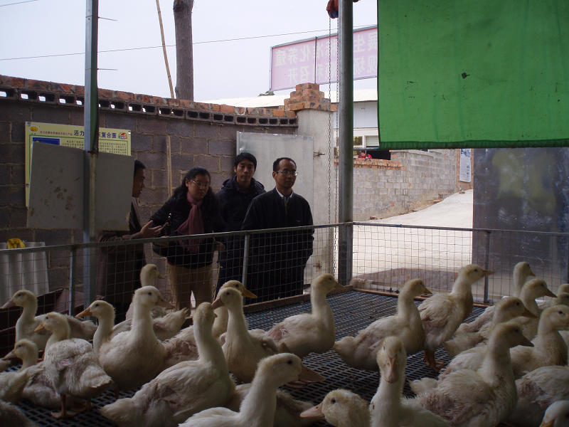 dvubb 图片点击可在新窗口打开查看