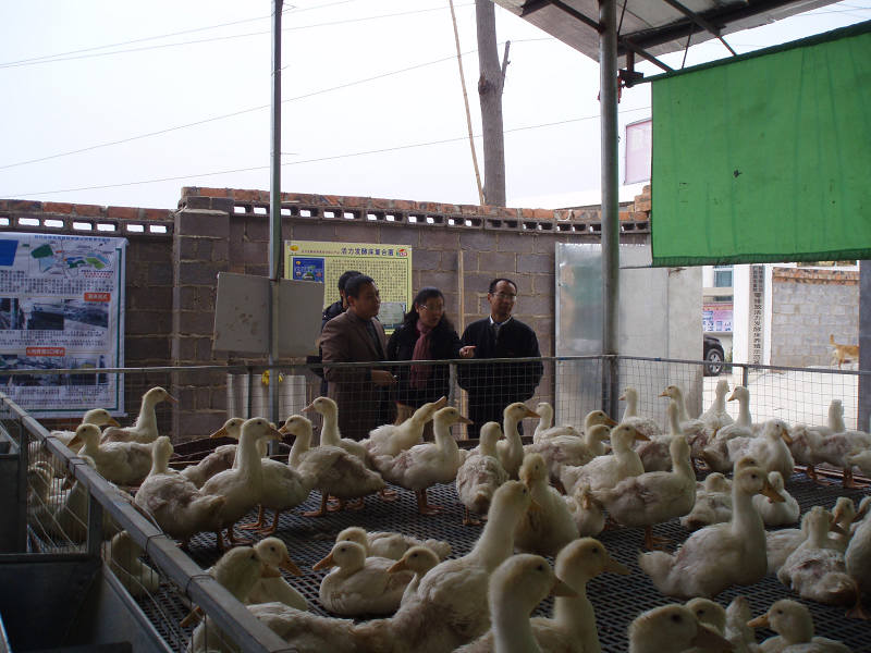 dvubb 图片点击可在新窗口打开查看