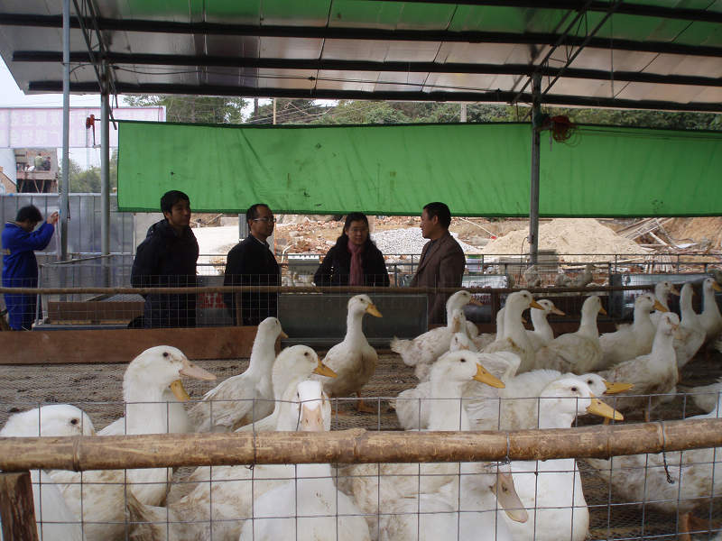 dvubb 图片点击可在新窗口打开查看