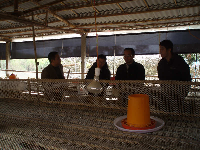 dvubb 图片点击可在新窗口打开查看