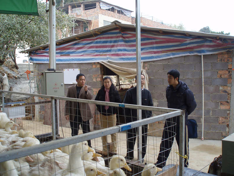 dvubb 图片点击可在新窗口打开查看