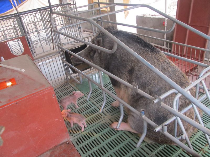 dvubb 按此在新窗口浏览图片