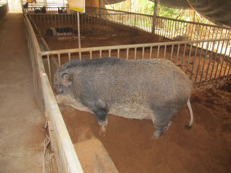 dvubb 按此在新窗口浏览图片