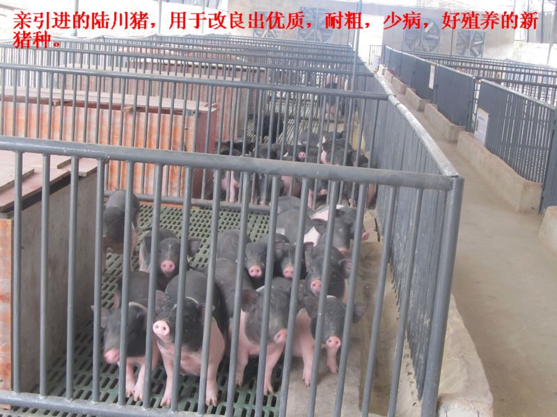 dvubb 按此在新窗口浏览图片