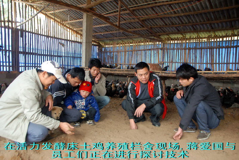 dvubb 按此在新窗口浏览图片