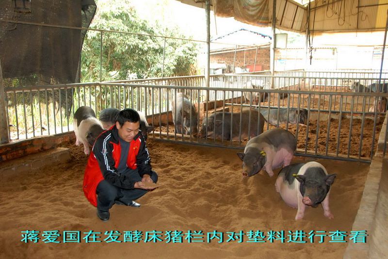 dvubb 按此在新窗口浏览图片