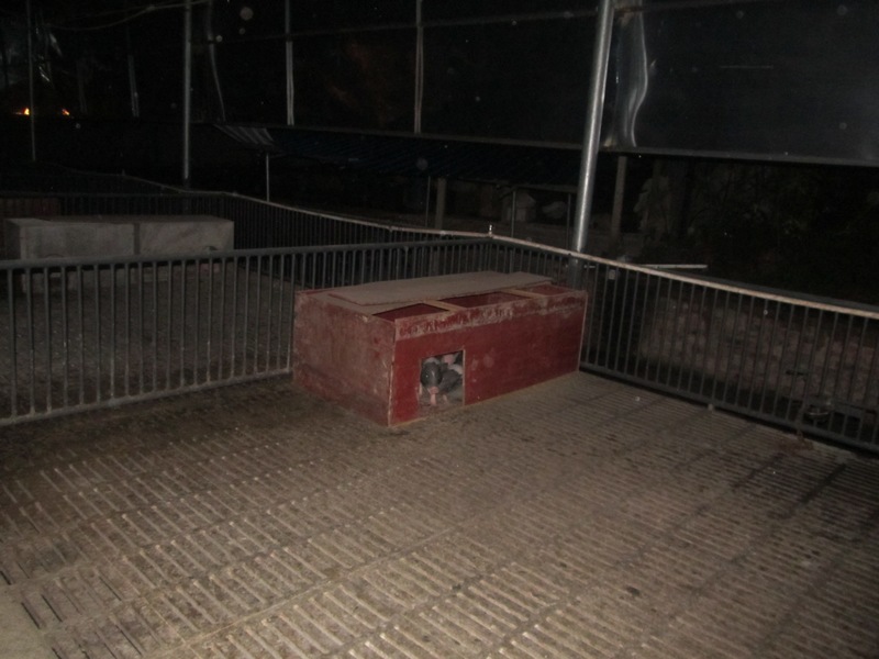 dvubb 图片点击可在新窗口打开查看