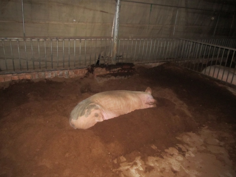 dvubb 图片点击可在新窗口打开查看