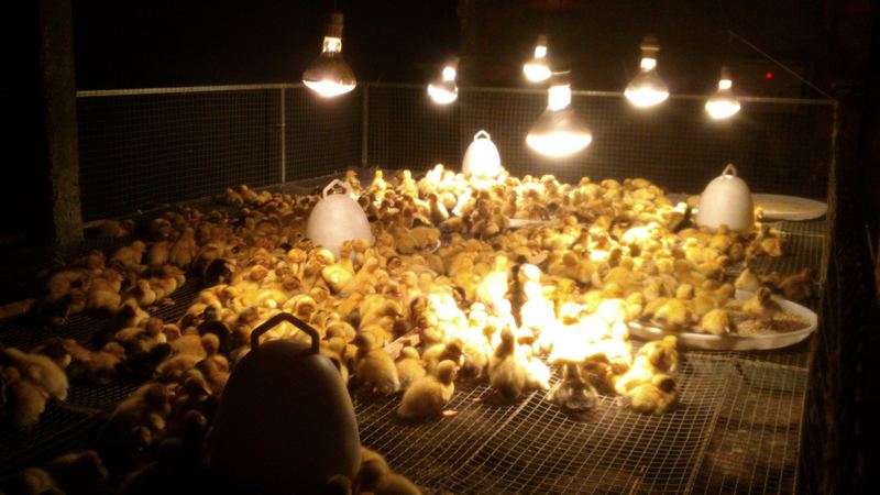 dvubb 按此在新窗口浏览图片