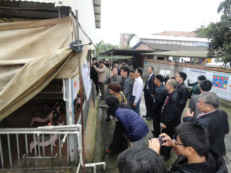 dvubb 图片点击可在新窗口打开查看