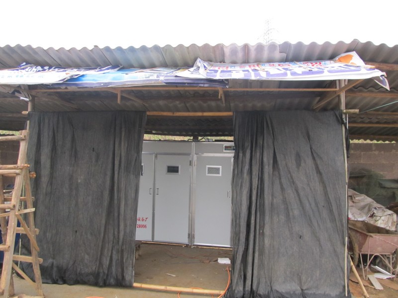 dvubb 图片点击可在新窗口打开查看