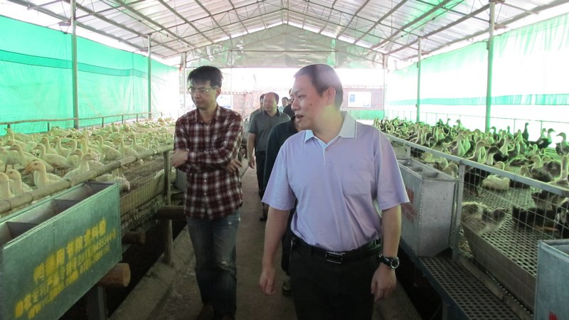 养禽与禽病研究所所长韦平博士对零排放养殖给予肯定