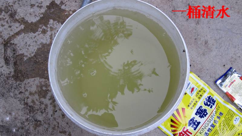 dvubb 按此在新窗口浏览图片