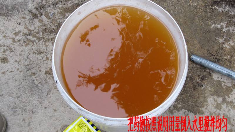 dvubb 按此在新窗口浏览图片