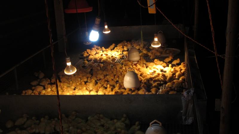 dvubb 按此在新窗口浏览图片