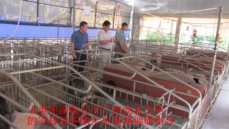 dvubb 按此在新窗口浏览图片